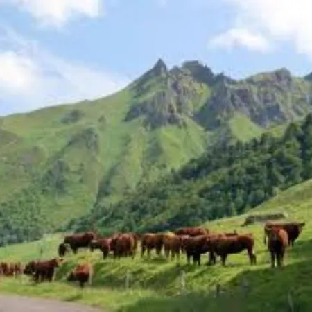 شقة Lilas, Saint Antoine, Orcival, Entre Sancy Et Volcans. أورسيفال